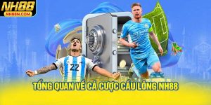 Tổng Quan Về Cá Cược Cầu Lông NH88