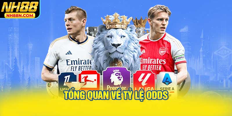 Tổng Quan Về Tỷ Lệ Odds